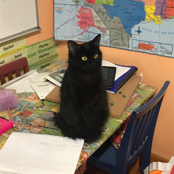 Spooky - Picture 3 of 4